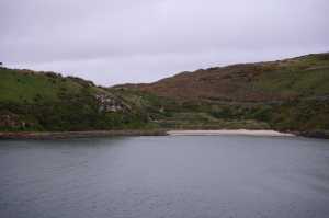 HARINGTON-POINT-DUNEDIN (45)